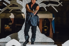 Die Walküre Act 2