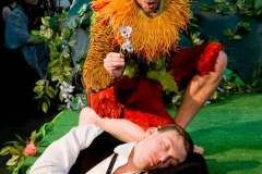 Midsummer Night's Dream